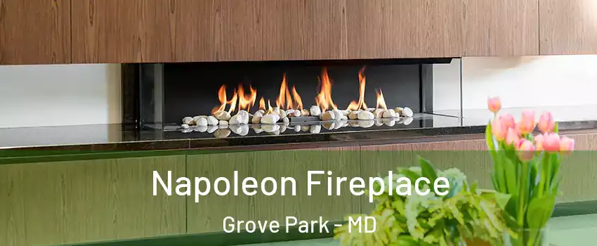 Napoleon Fireplace Grove Park - MD