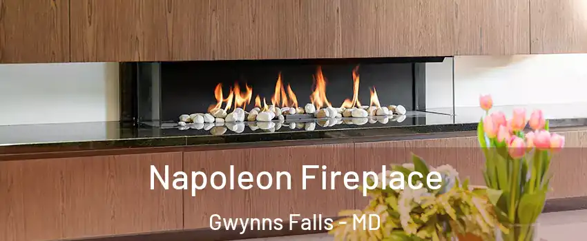 Napoleon Fireplace Gwynns Falls - MD