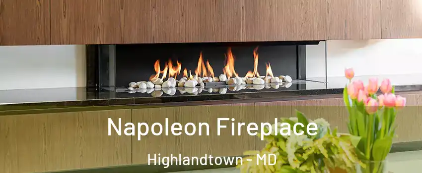 Napoleon Fireplace Highlandtown - MD