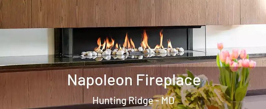 Napoleon Fireplace Hunting Ridge - MD