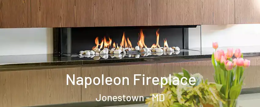 Napoleon Fireplace Jonestown - MD