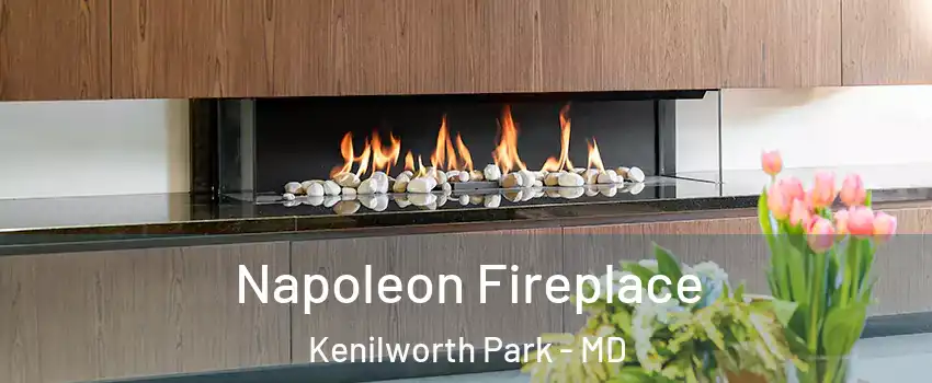 Napoleon Fireplace Kenilworth Park - MD
