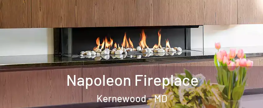 Napoleon Fireplace Kernewood - MD