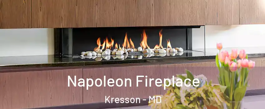 Napoleon Fireplace Kresson - MD