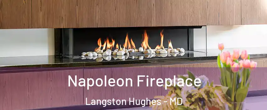 Napoleon Fireplace Langston Hughes - MD