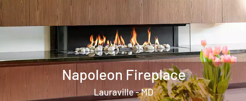 Napoleon Fireplace Lauraville - MD