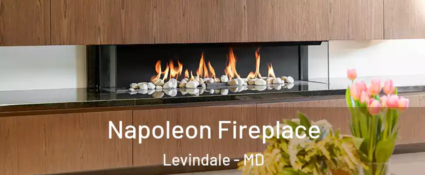 Napoleon Fireplace Levindale - MD