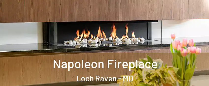 Napoleon Fireplace Loch Raven - MD