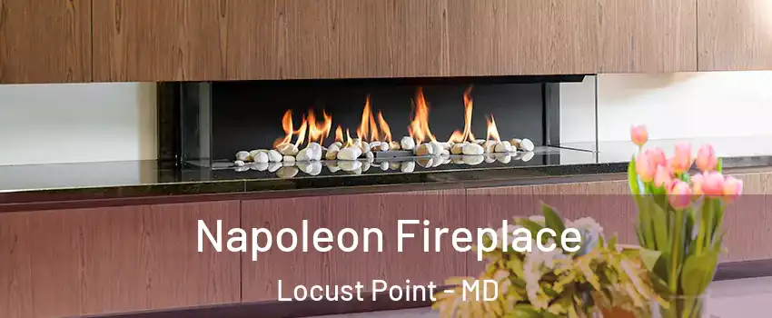 Napoleon Fireplace Locust Point - MD