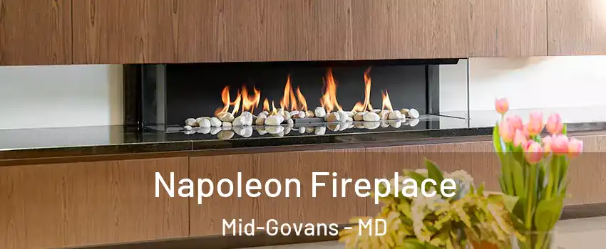 Napoleon Fireplace Mid-Govans - MD