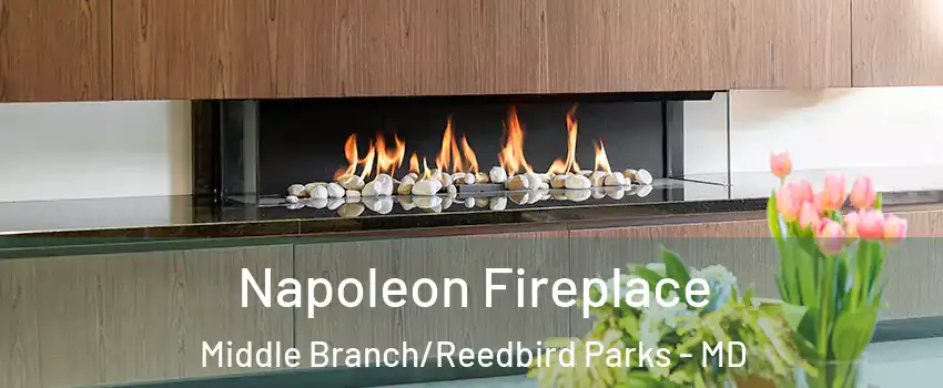 Napoleon Fireplace Middle Branch/Reedbird Parks - MD