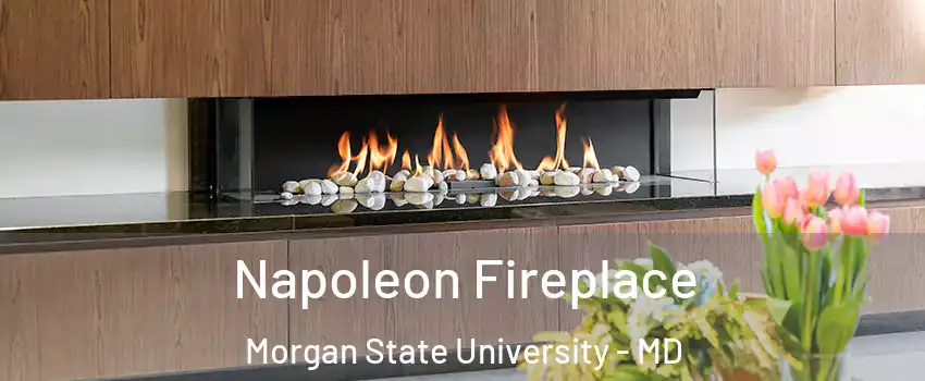 Napoleon Fireplace Morgan State University - MD