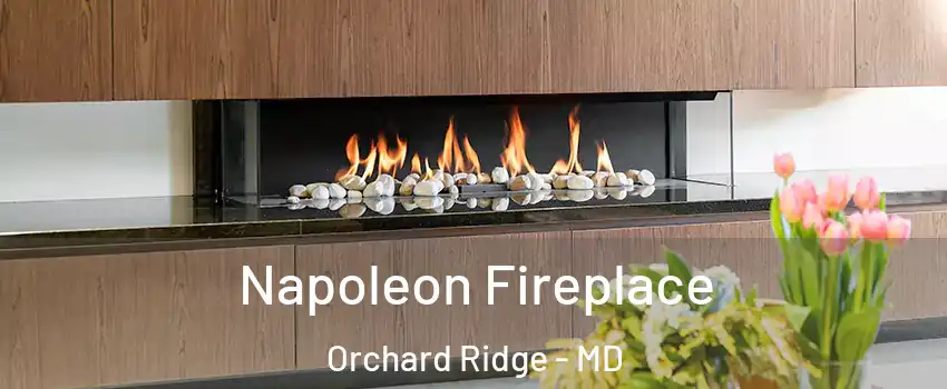 Napoleon Fireplace Orchard Ridge - MD