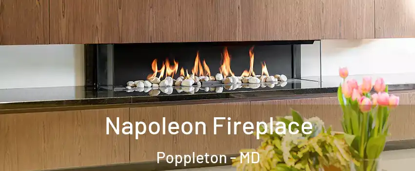 Napoleon Fireplace Poppleton - MD