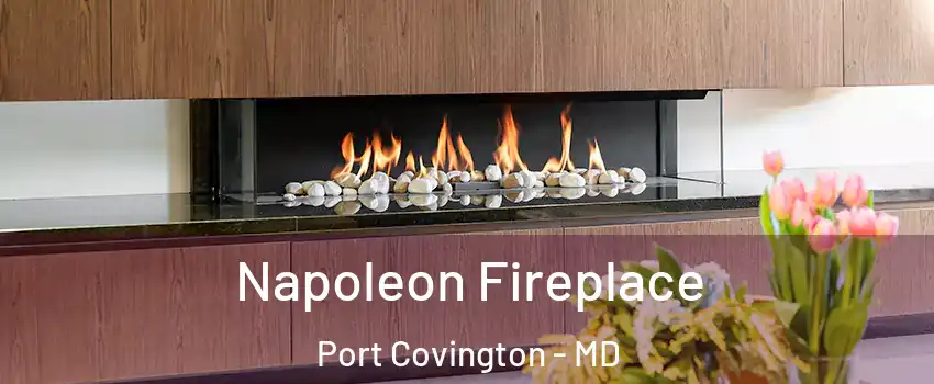Napoleon Fireplace Port Covington - MD