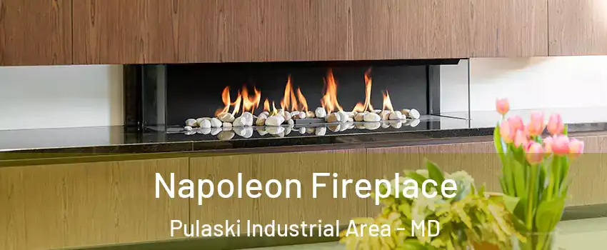 Napoleon Fireplace Pulaski Industrial Area - MD