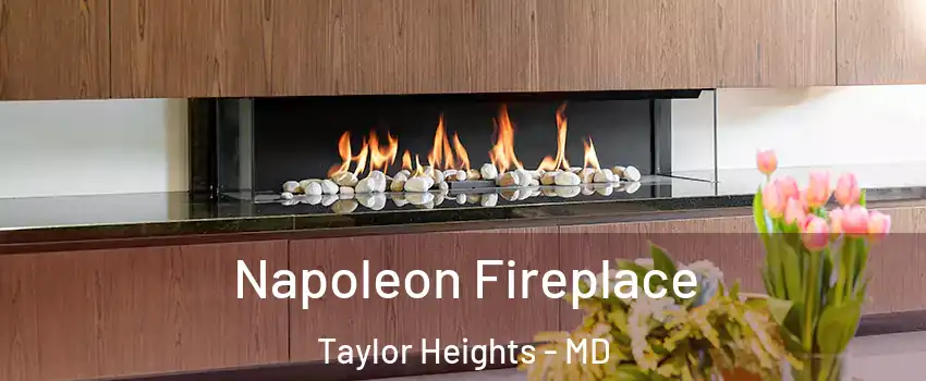 Napoleon Fireplace Taylor Heights - MD
