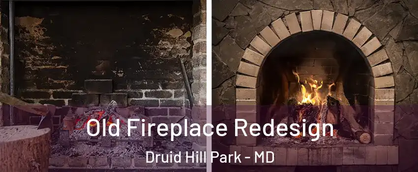 Old Fireplace Redesign Druid Hill Park - MD