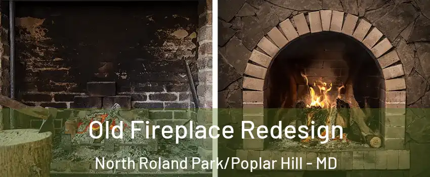 Old Fireplace Redesign North Roland Park/Poplar Hill - MD