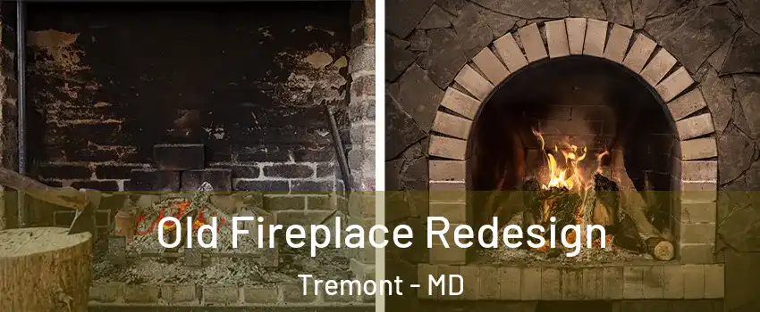 Old Fireplace Redesign Tremont - MD