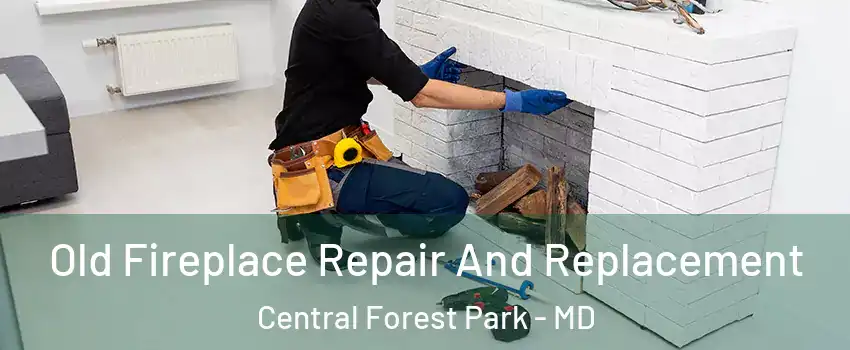 Old Fireplace Repair And Replacement Central Forest Park - MD