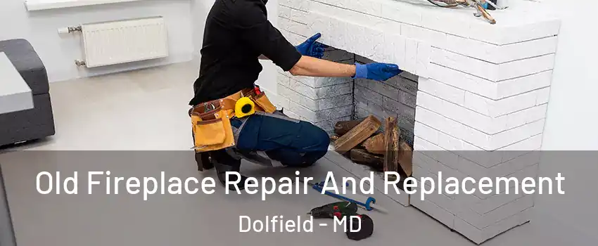 Old Fireplace Repair And Replacement Dolfield - MD