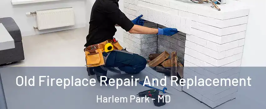 Old Fireplace Repair And Replacement Harlem Park - MD