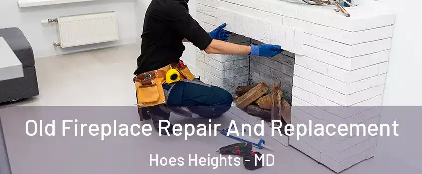 Old Fireplace Repair And Replacement Hoes Heights - MD