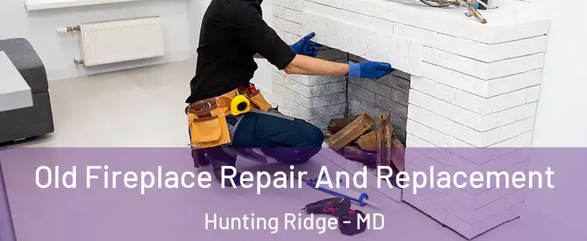 Old Fireplace Repair And Replacement Hunting Ridge - MD
