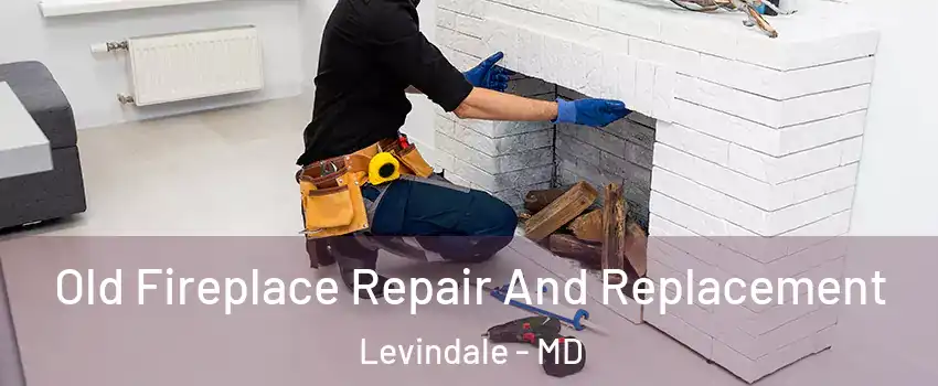 Old Fireplace Repair And Replacement Levindale - MD