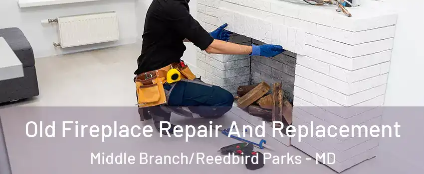 Old Fireplace Repair And Replacement Middle Branch/Reedbird Parks - MD