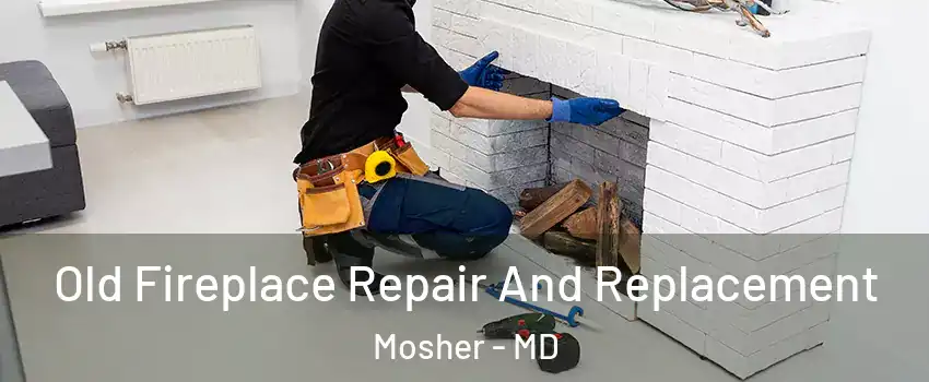Old Fireplace Repair And Replacement Mosher - MD