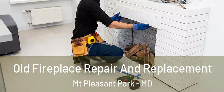 Old Fireplace Repair And Replacement Mt Pleasant Park - MD