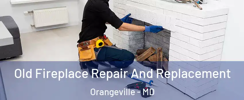 Old Fireplace Repair And Replacement Orangeville - MD