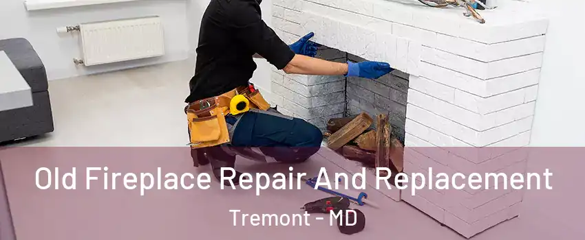 Old Fireplace Repair And Replacement Tremont - MD