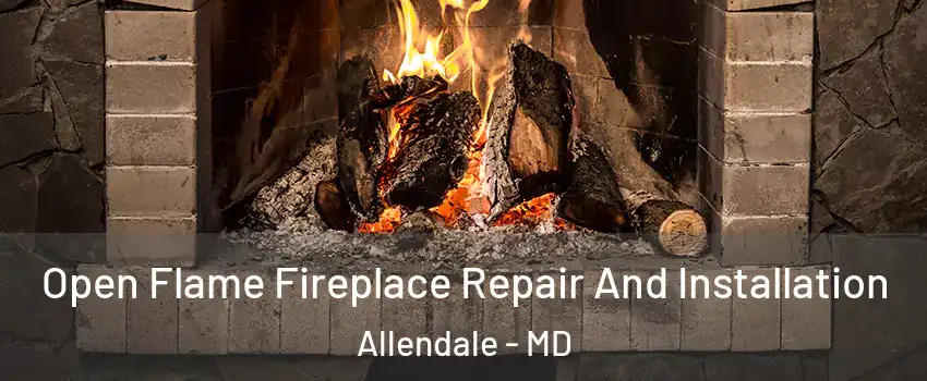 Open Flame Fireplace Repair And Installation Allendale - MD