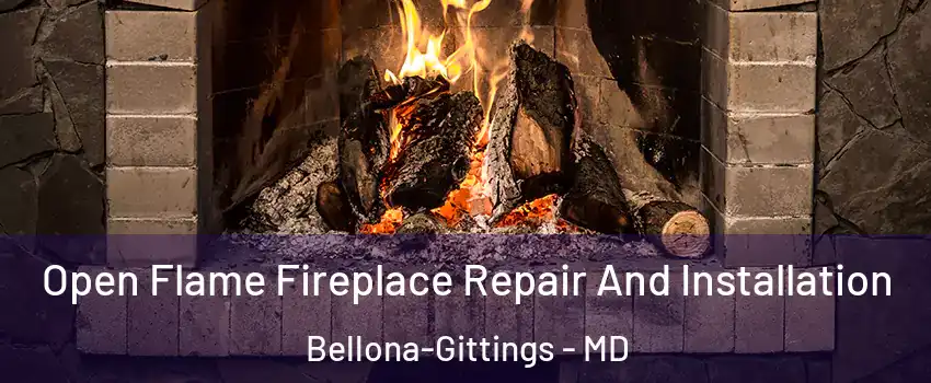 Open Flame Fireplace Repair And Installation Bellona-Gittings - MD