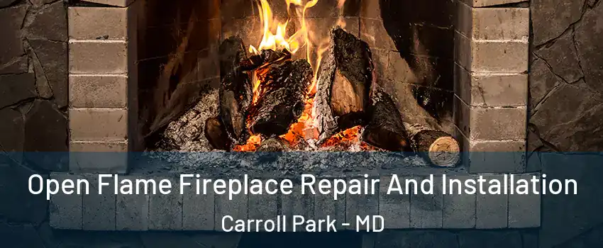 Open Flame Fireplace Repair And Installation Carroll Park - MD