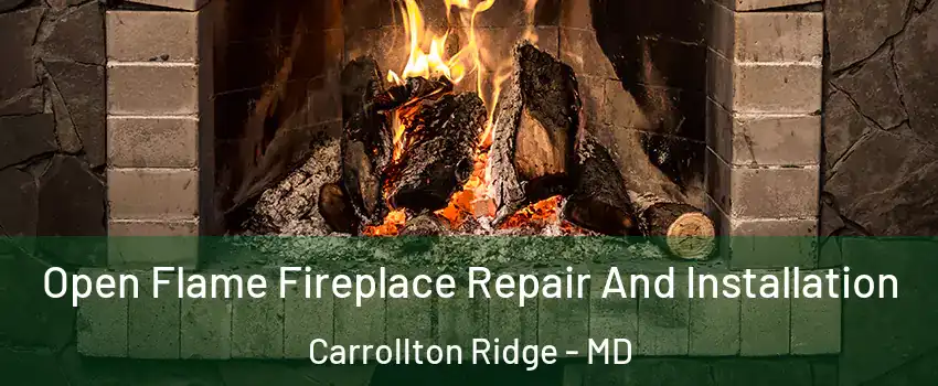 Open Flame Fireplace Repair And Installation Carrollton Ridge - MD