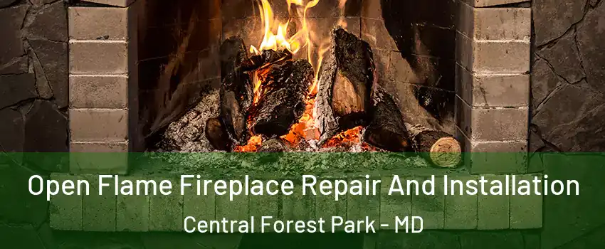 Open Flame Fireplace Repair And Installation Central Forest Park - MD
