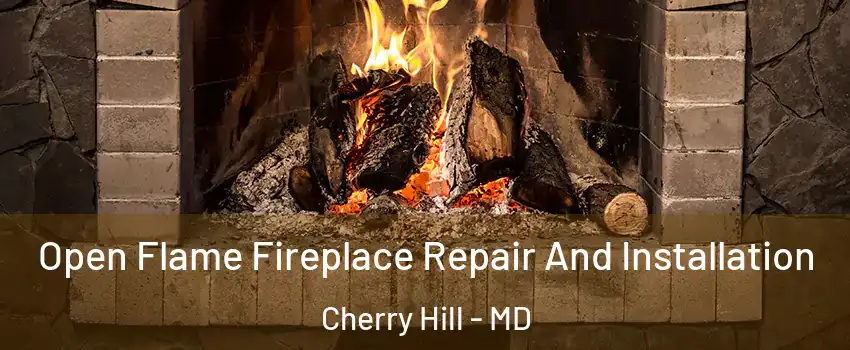 Open Flame Fireplace Repair And Installation Cherry Hill - MD