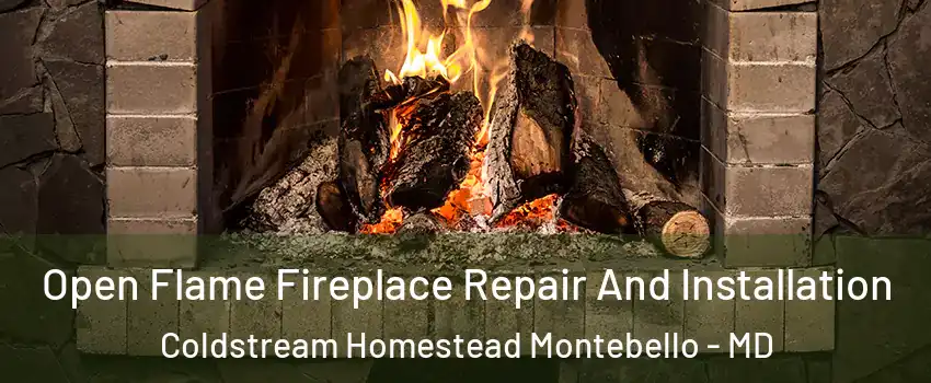Open Flame Fireplace Repair And Installation Coldstream Homestead Montebello - MD