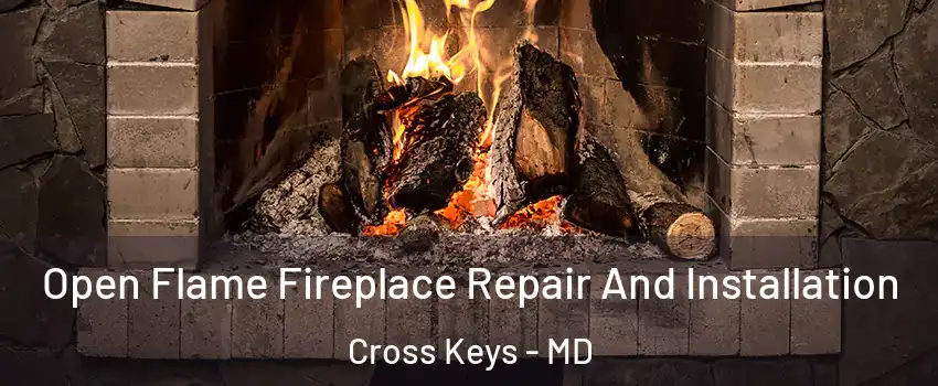 Open Flame Fireplace Repair And Installation Cross Keys - MD
