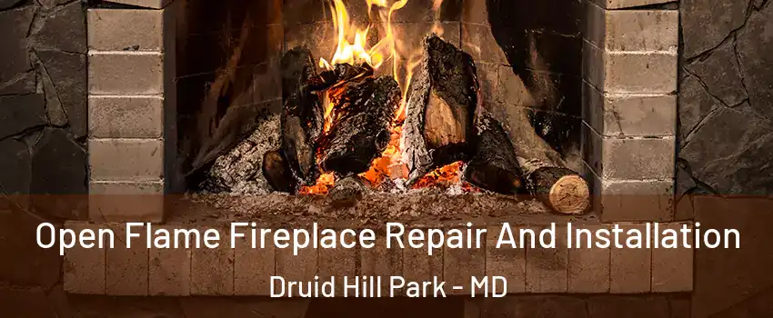 Open Flame Fireplace Repair And Installation Druid Hill Park - MD