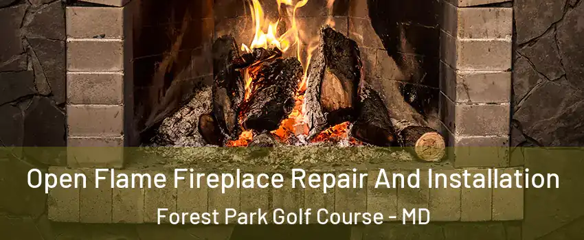 Open Flame Fireplace Repair And Installation Forest Park Golf Course - MD