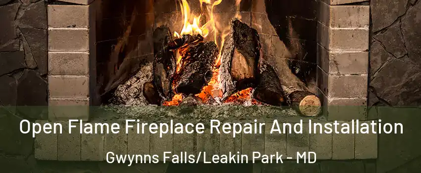 Open Flame Fireplace Repair And Installation Gwynns Falls/Leakin Park - MD