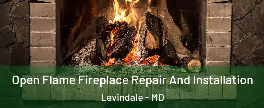 Open Flame Fireplace Repair And Installation Levindale - MD
