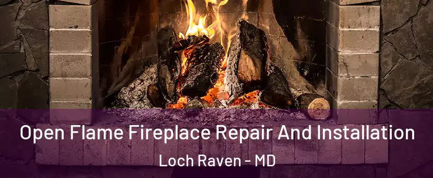 Open Flame Fireplace Repair And Installation Loch Raven - MD