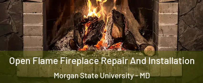 Open Flame Fireplace Repair And Installation Morgan State University - MD