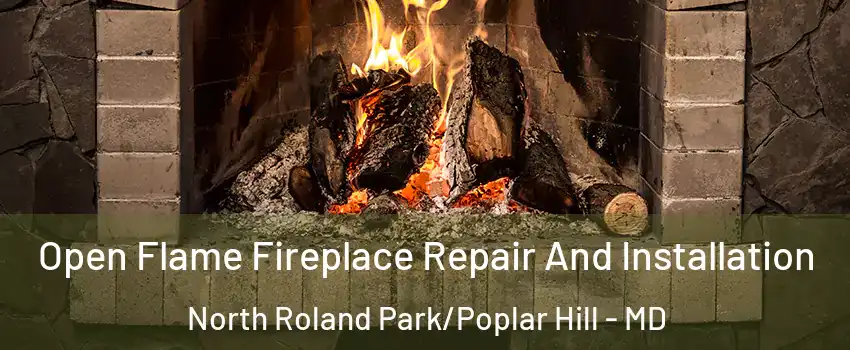 Open Flame Fireplace Repair And Installation North Roland Park/Poplar Hill - MD